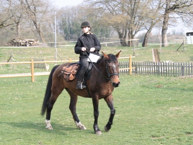  En la granja 